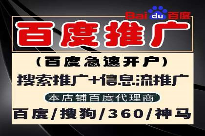 案例解析：SEM搜索引擎优化助力电商快速崛起